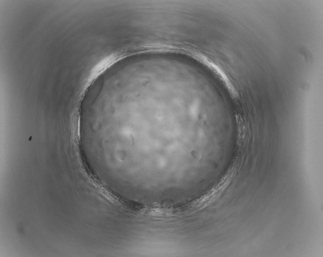 X0000116001365200912031500