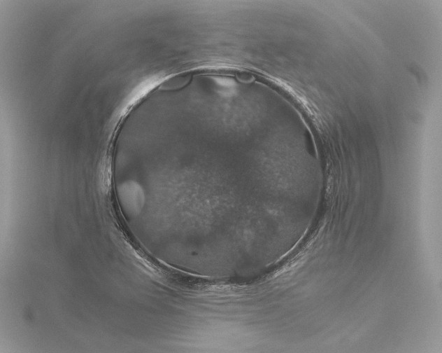 X0000116001367200912031500