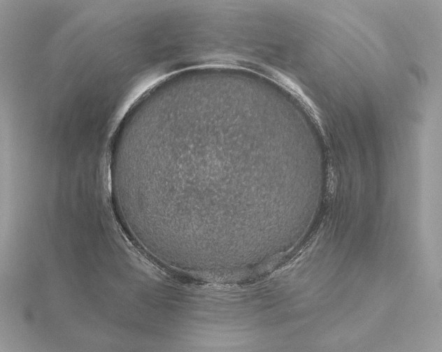 X0000116001368200912031500