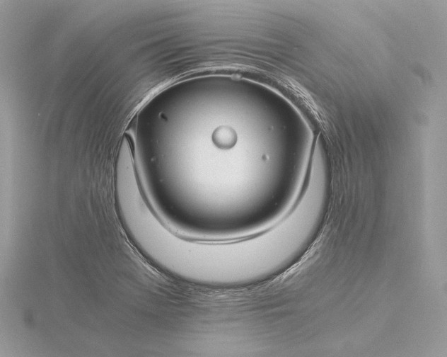 X0000116001369200912031500