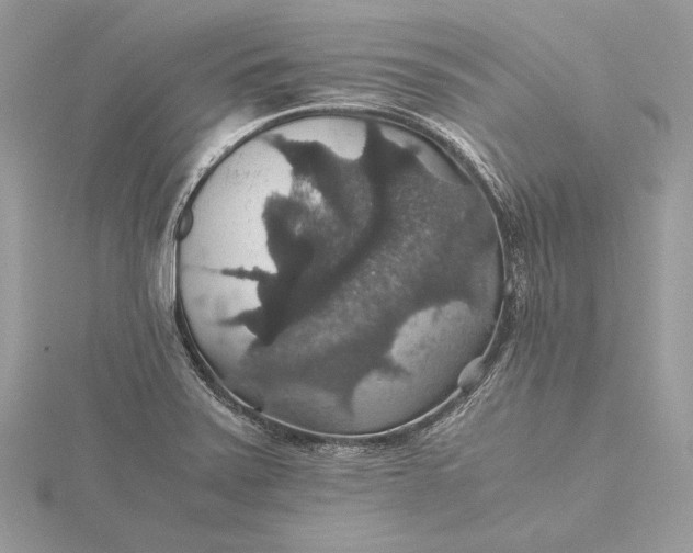 X0000116001371200912031500