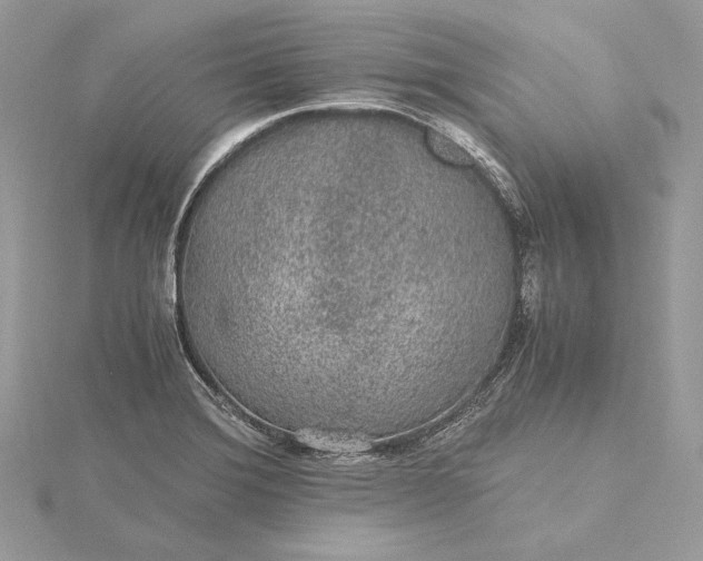 X0000116001372200912031500