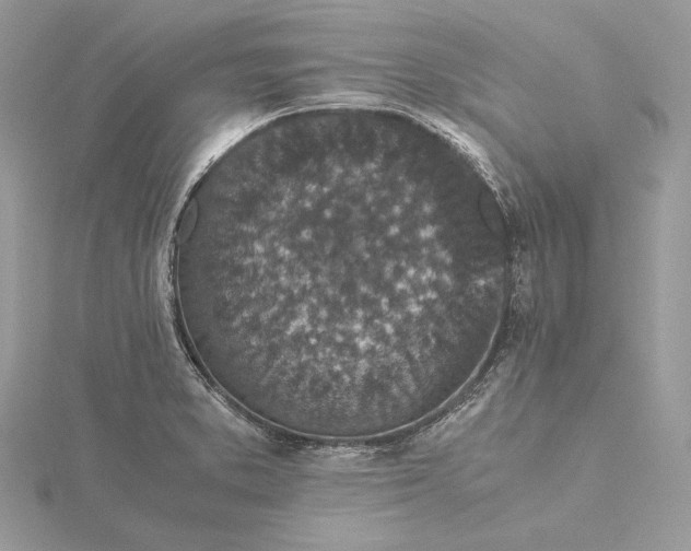 X0000116001373200912031500