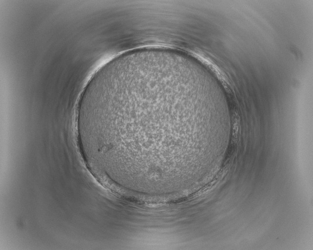 X0000116001375200912031500