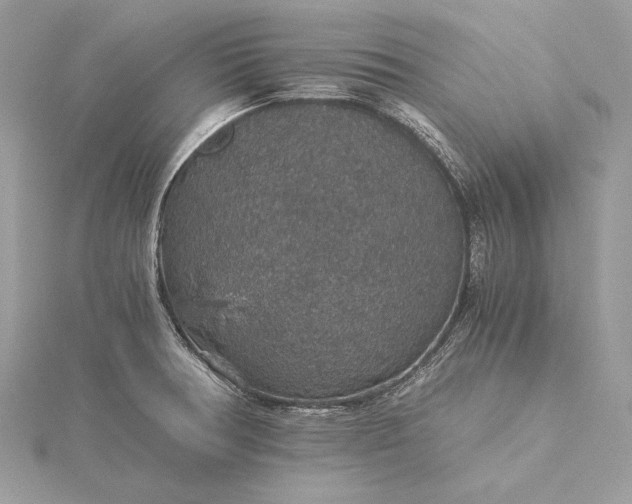 X0000116001378200912031500