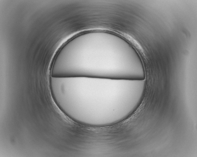 X0000116001380200912031500