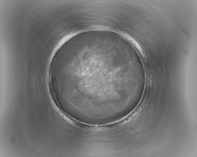 X0000116001381200912031500