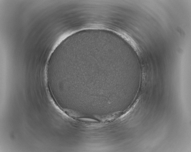 X0000116001382200912031459