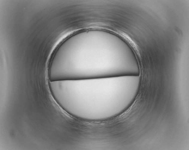 X0000116001384200912031459