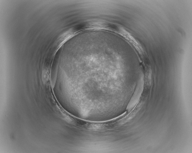 X0000116001385200912031459