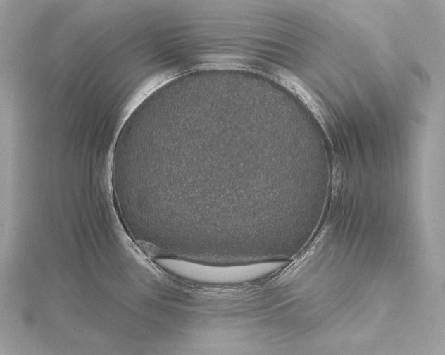 X0000116001386200912031459