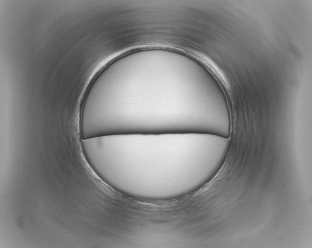 X0000116001388200912031459