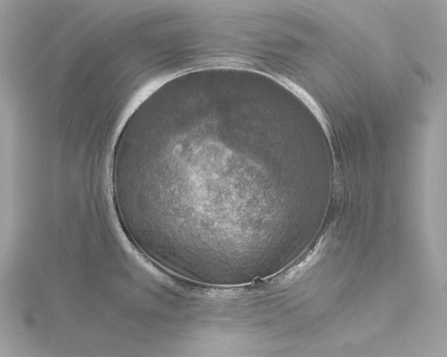 X0000116001389200912031459