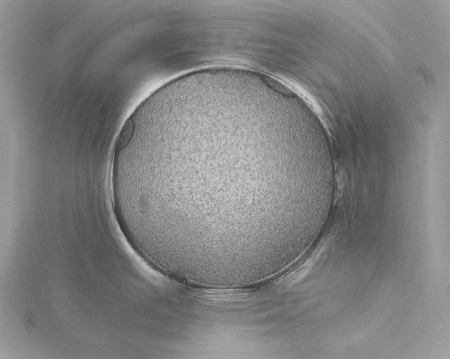 X0000116001391200912031459