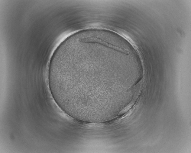 X0000116001392200912031459