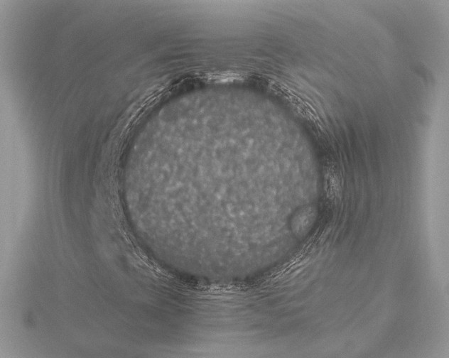 X0000116001393200912031459