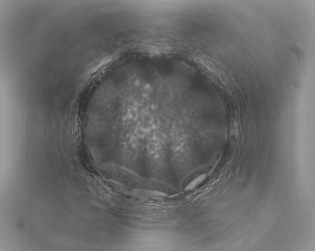 X0000116001398200912031459