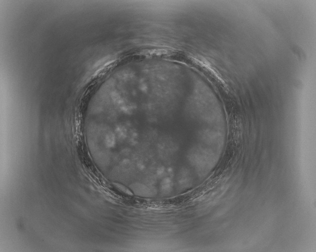 X0000116001399200912031459