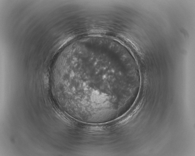 X0000116001401200912031459