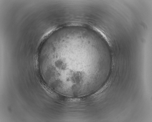 X0000116001403200912031459