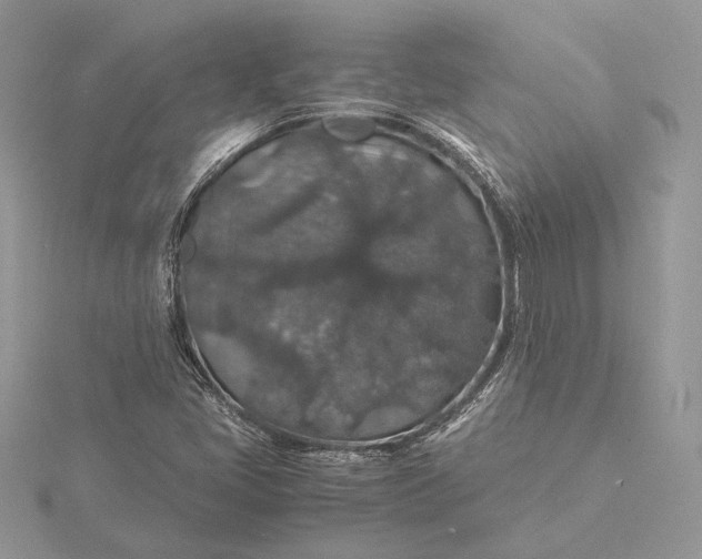 X0000116001405200912031459