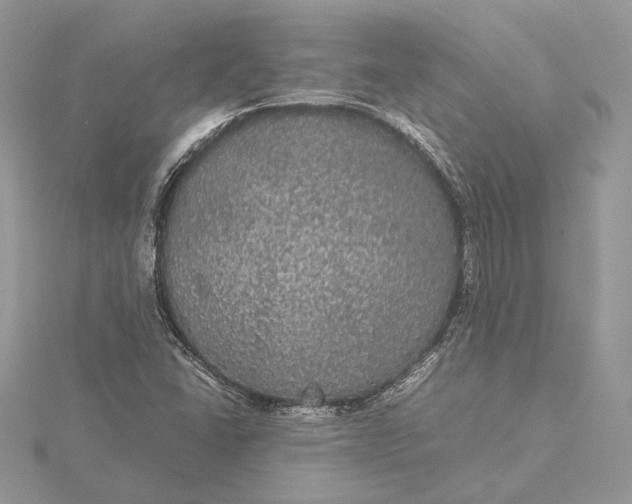 X0000116001406200912031459