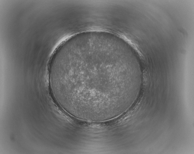 X0000116001408200912031459