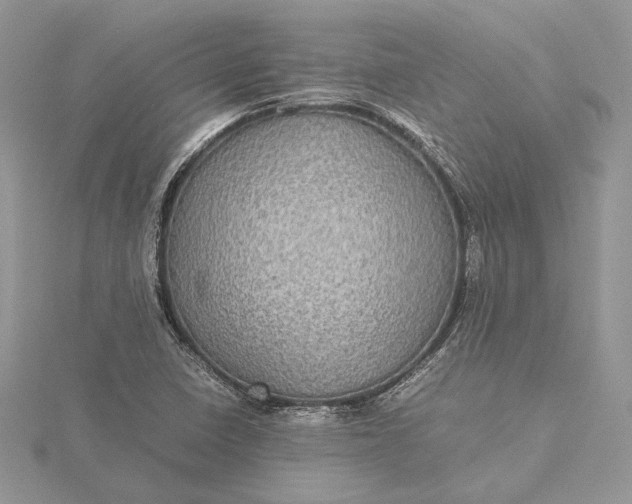 X0000116001410200912031459