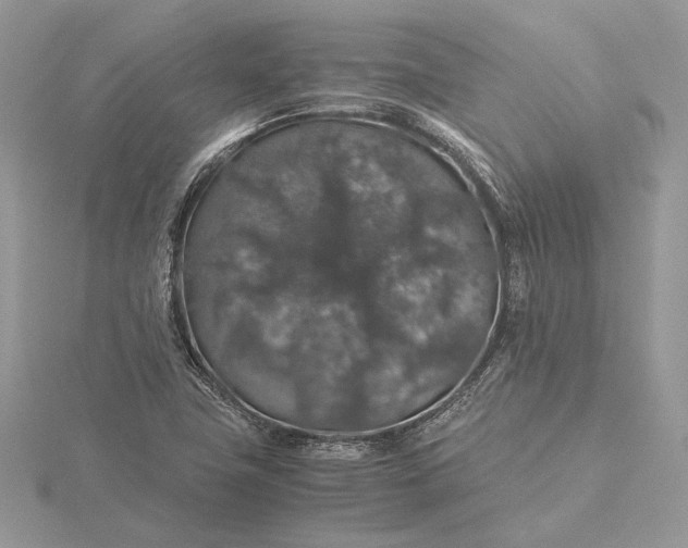 X0000116001411200912031459