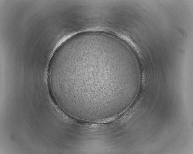 X0000116001412200912031459