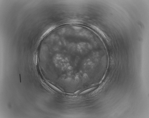 X0000116001413200912031459