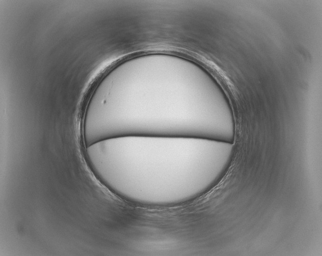 X0000116001416200912031459