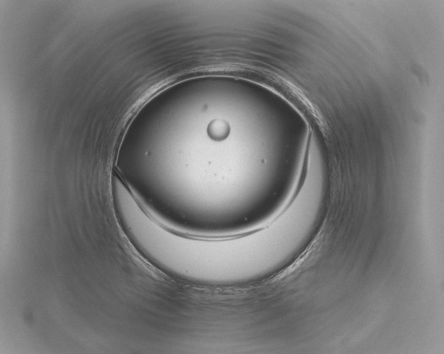 X0000116001417200912031459