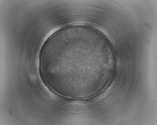 X0000116001418200912031459