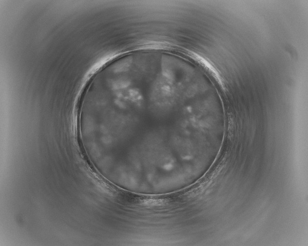 X0000116001419200912031459