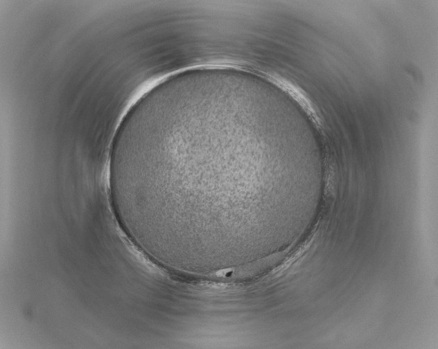 X0000116001420200912031459