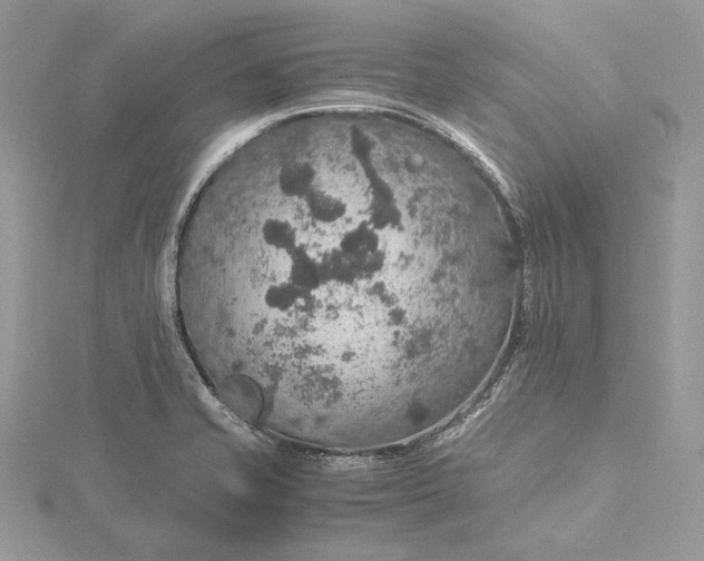 X0000116001421200912031459