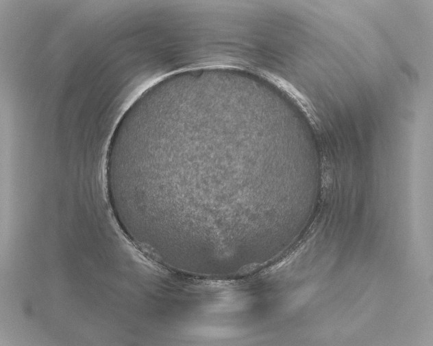 X0000116001423200912031459