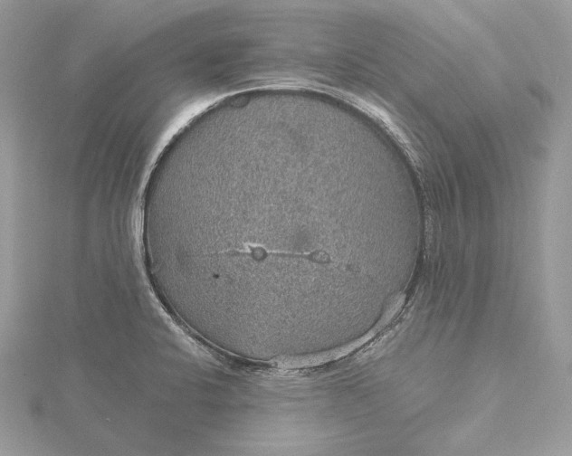 X0000116001424200912031459