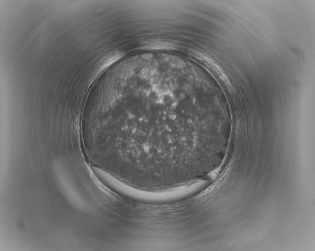 X0000116001425200912031459