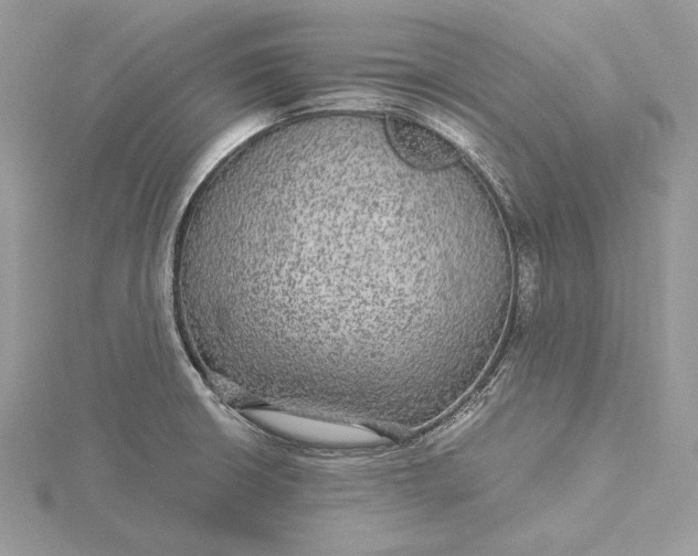 X0000116001426200912031459