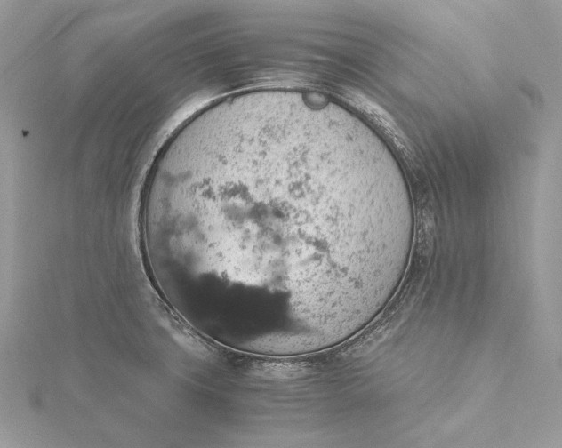 X0000116001427200912031459