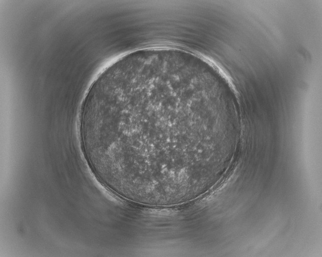 X0000116001429200912031459