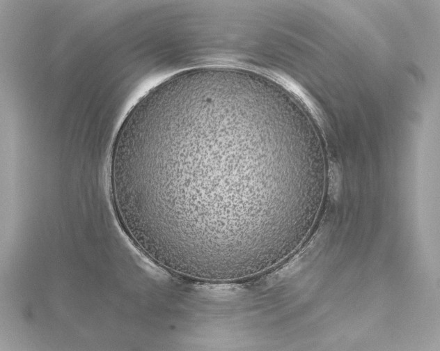 X0000116001432200912031459