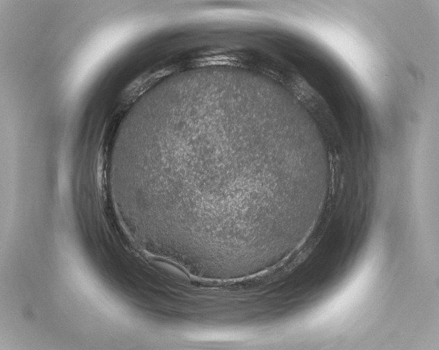 X0000116001438200912031459