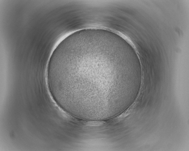 X0000116001440200912031459