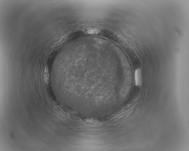 X0000116001443200912031459