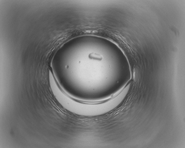 X0000116001444200912031459