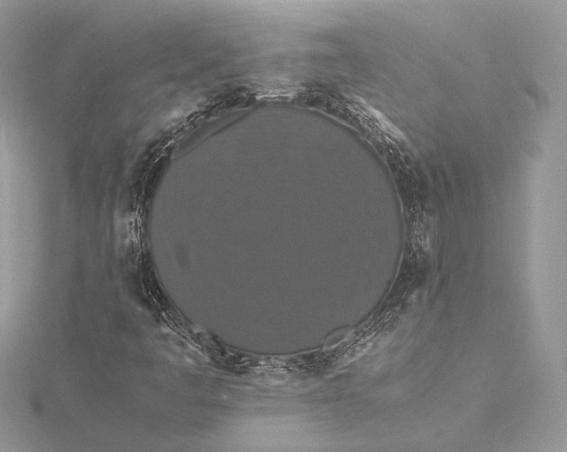 X0000116001445200912031459