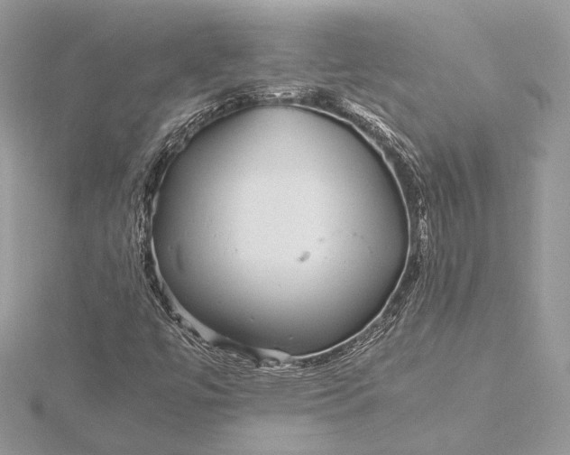 X0000116001447200912031459